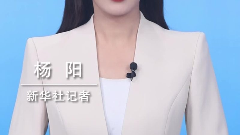 科技服务场景应用案例解析：揭秘企业IT决策背后的逻辑